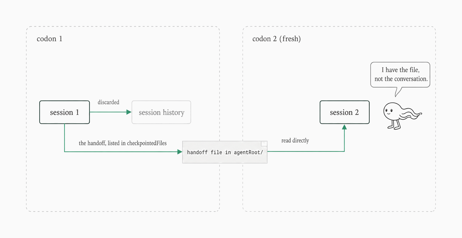 Context bridge handoff between fresh codons via shared workspace