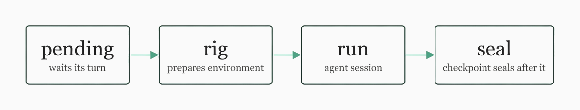 codon lifecycle